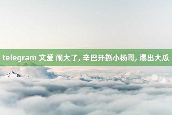 telegram 文爱 闹大了， 辛巴开撕小杨哥， 爆出大瓜