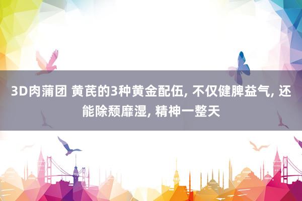 3D肉蒲团 黄芪的3种黄金配伍， 不仅健脾益气， 还能除颓靡湿， 精神一整天