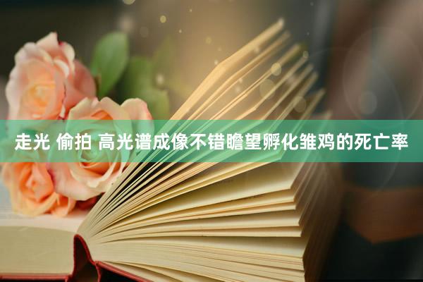 走光 偷拍 高光谱成像不错瞻望孵化雏鸡的死亡率