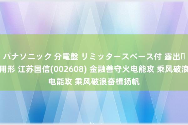 パナソニック 分電盤 リミッタースペース付 露出・半埋込両用形 江苏国信(002608) 金融善守火电能攻 乘风破浪奋楫扬帆