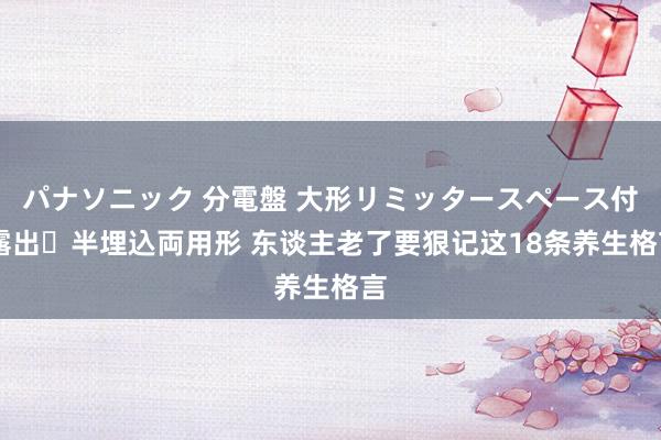 パナソニック 分電盤 大形リミッタースペース付 露出・半埋込両用形 东谈主老了要狠记这18条养生格言