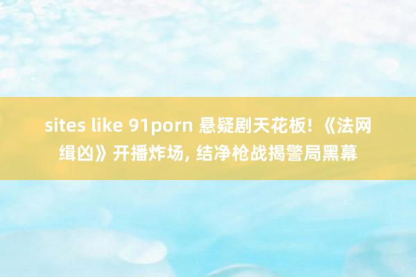 sites like 91porn 悬疑剧天花板! 《法网缉凶》开播炸场， 结净枪战揭警局黑幕